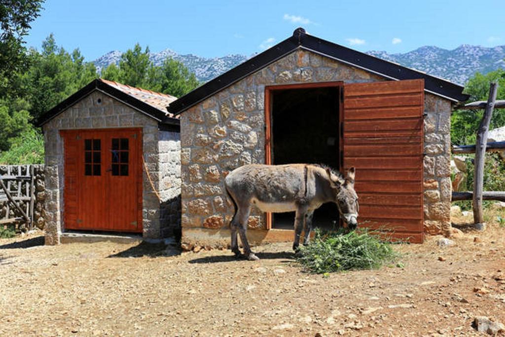 شقة سيلين  في Stone House Magarac المظهر الخارجي الصورة